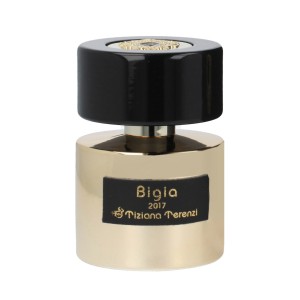 Tiziana Terenzi Bigia Extrait de parfum - tester 100 ml kvepalai unisex