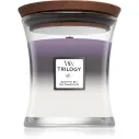 WoodWick Trilogy Medium Hourglass Candles Scented Candle Amethyst Sky 