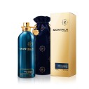 Montale Paris Aoud Ambre Eau De Parfum 100 ml kvepalai unisex