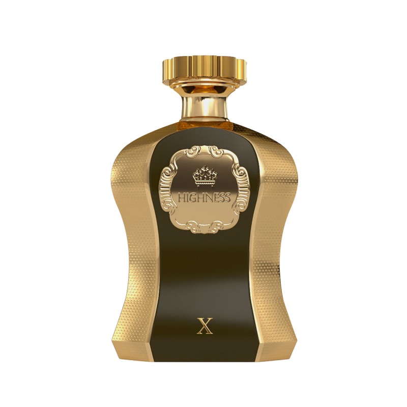 Afnan Highness X Eau De Parfum 100 ml kvepalai vyrams