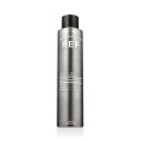 REF Strong Hold Spray N 533 300 ml