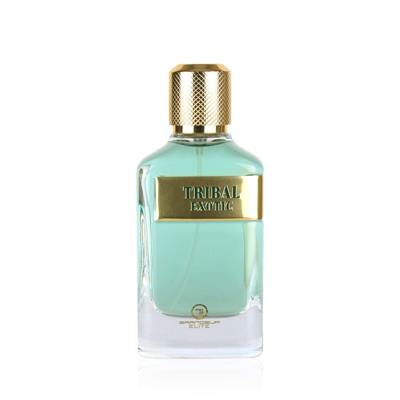 Grandeur Tribal Exotic Eau De Parfum 100 ml kvepalai vyrams