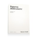 Maison Crivelli Papyrus Moléculaire Eau De Parfum 100 ml kvepalai unisex
