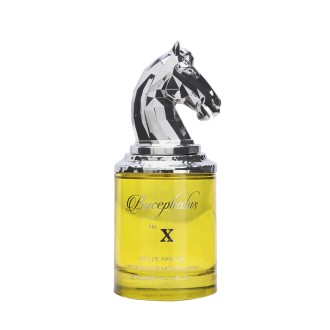 Armaf Bucephalus No. X Eau De Parfum 100 ml kvepalai vyrams 2