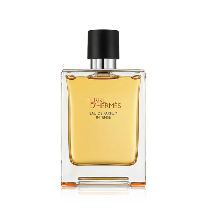 Hermès Terre d Hermès Intense Eau De Parfum Intense Refillable 100 ml kvepalai vyrams