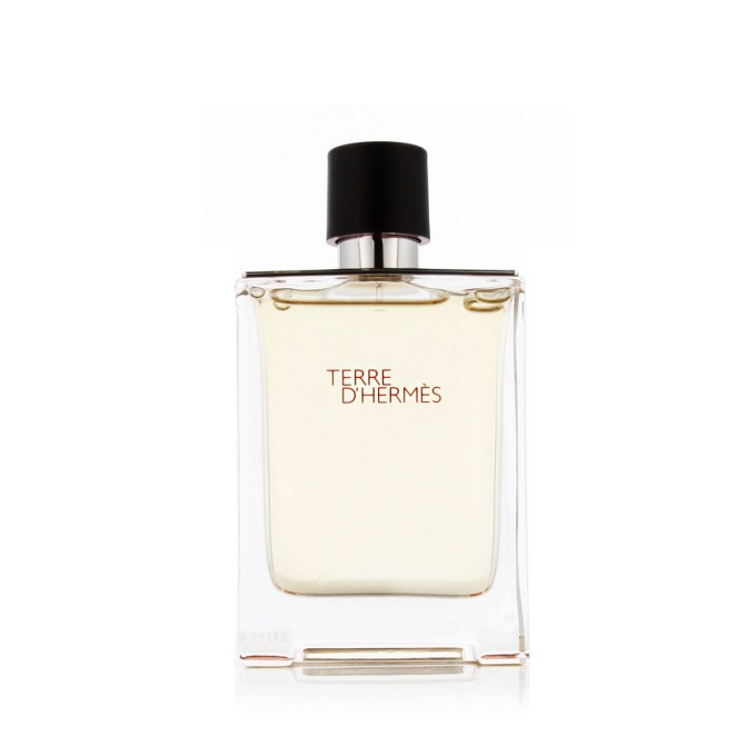 Hermès Terre D'Hermès Eau De Toilette - tester 100 ml kvepalai vyrams