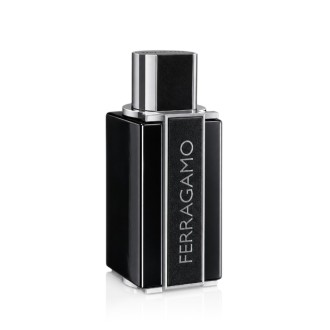 Ferragamo Sublime Leather Eau De Parfum Intense 100 ml kvepalai vyrams 2