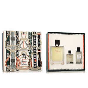 Hermès Terre D'Hermès EDT 100 ml + EDT 12,5 ml + AS 40 ml (man)
