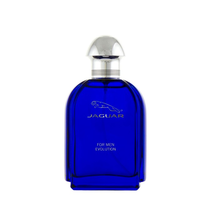 Jaguar For Men Evolution Eau De Toilette 100 ml kvepalai vyrams