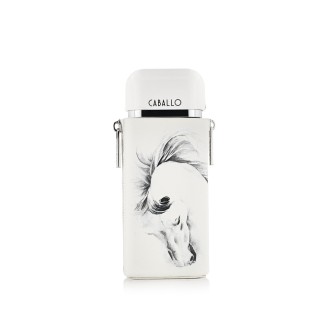 Armaf Caballo Eau De Parfum 100 ml kvepalai vyrams 2