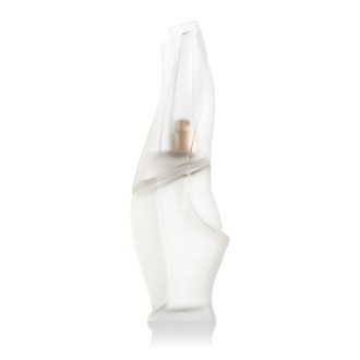 DKNY Donna Karan Cashmere Mist Eau De Toilette 100 ml (woman)