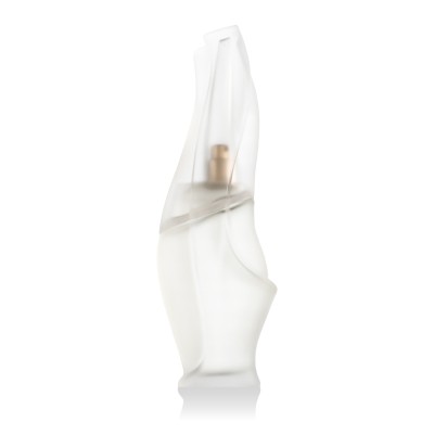 DKNY Donna Karan Cashmere Mist Eau De Toilette 100 ml (woman)