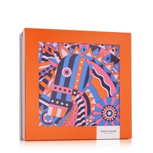 Hermès Terre D'Hermès EDT 100 ml + EDT 12,5 ml + AS 40 ml vyrams