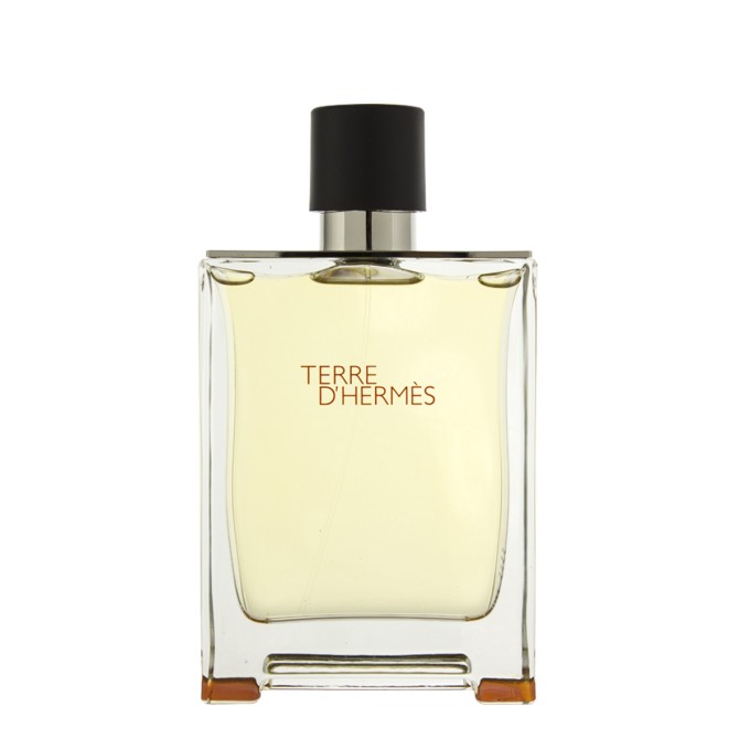 Hermès Terre D'Hermès Eau De Toilette - tester 200 ml kvepalai vyrams