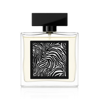 Fragrance World Encrypt Eau De Parfum 85 ml (man) 2