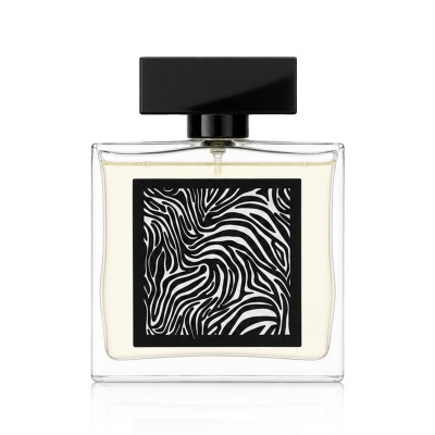 Fragrance World Encrypt Eau De Parfum 85 ml kvepalai vyrams