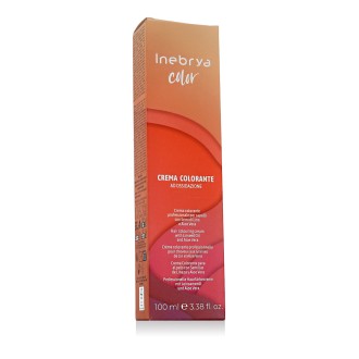 Inebrya Color Ash (10/1 Platinum Blonde Light Ash) 100 ml