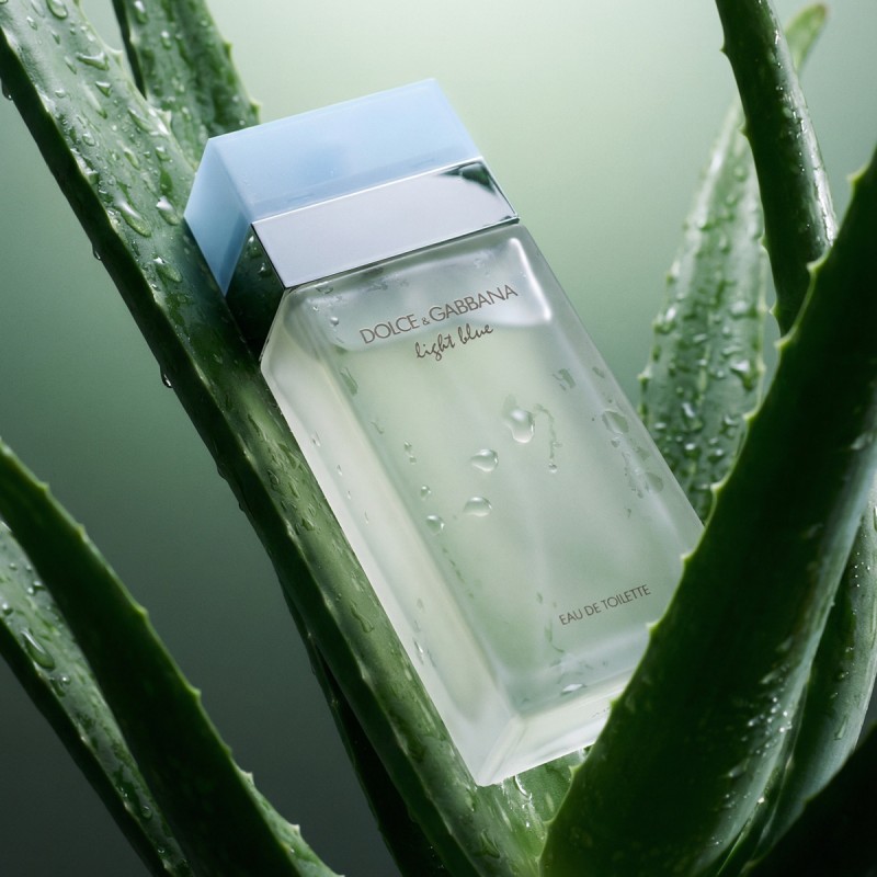 Dolce & Gabbana Light Blue Eau De Toilette 50 ml kvepalai moterims