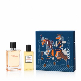 Hermès Terre D'Hermès EDT 100 ml + SG for Body & Hair 80 ml kvepalai vyrams