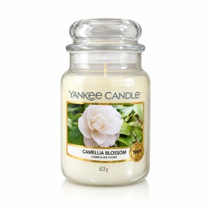 Yankee Candle Classic Large Jar Candles Scented candle 623 g