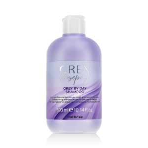 Inebrya GREYlosophy Grey By Day Shampoo 300 ml