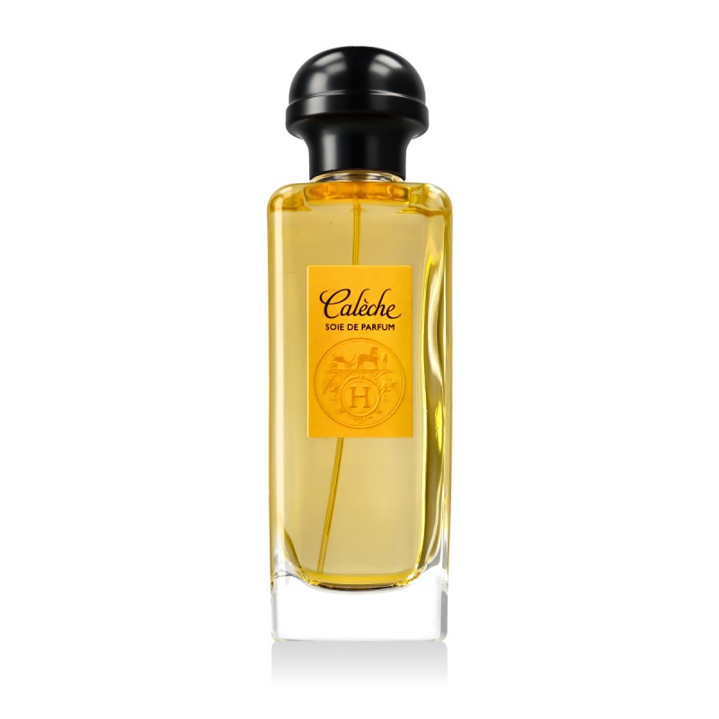 Hermès Cal che Soie de Parfum Eau De Parfum 100 ml kvepalai moterims
