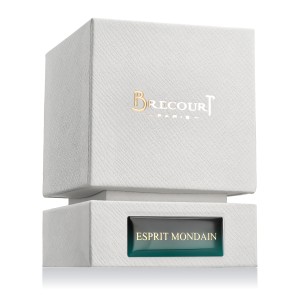 Brecourt Esprit Mondain Eau De Parfum 50 ml kvepalai vyrams
