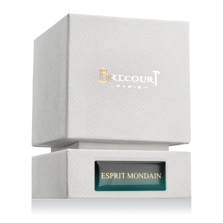 Brecourt Esprit Mondain Eau De Parfum 50 ml kvepalai vyrams