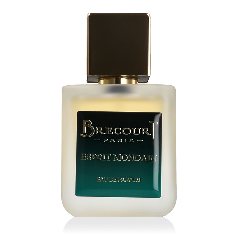 Brecourt Esprit Mondain Eau De Parfum 50 ml kvepalai vyrams