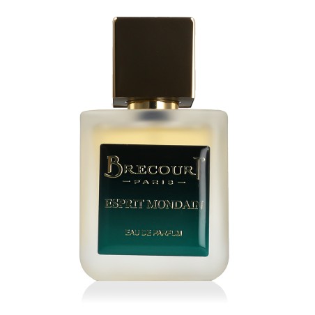 Brecourt Esprit Mondain Eau De Parfum 50 ml kvepalai vyrams