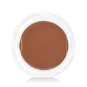Shiseido Tanning Compact Foundation SPF 10 Refill (Honey) 12 g